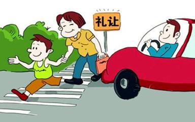機動車未禮讓行人的處罰規(guī)定與安全責(zé)任
